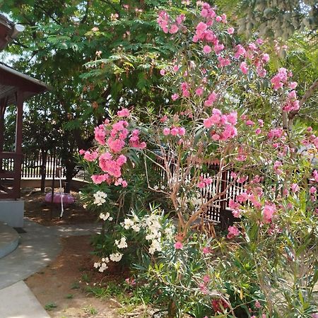 Abadi Karmazsin Haz Villa Abadszalok Ngoại thất bức ảnh